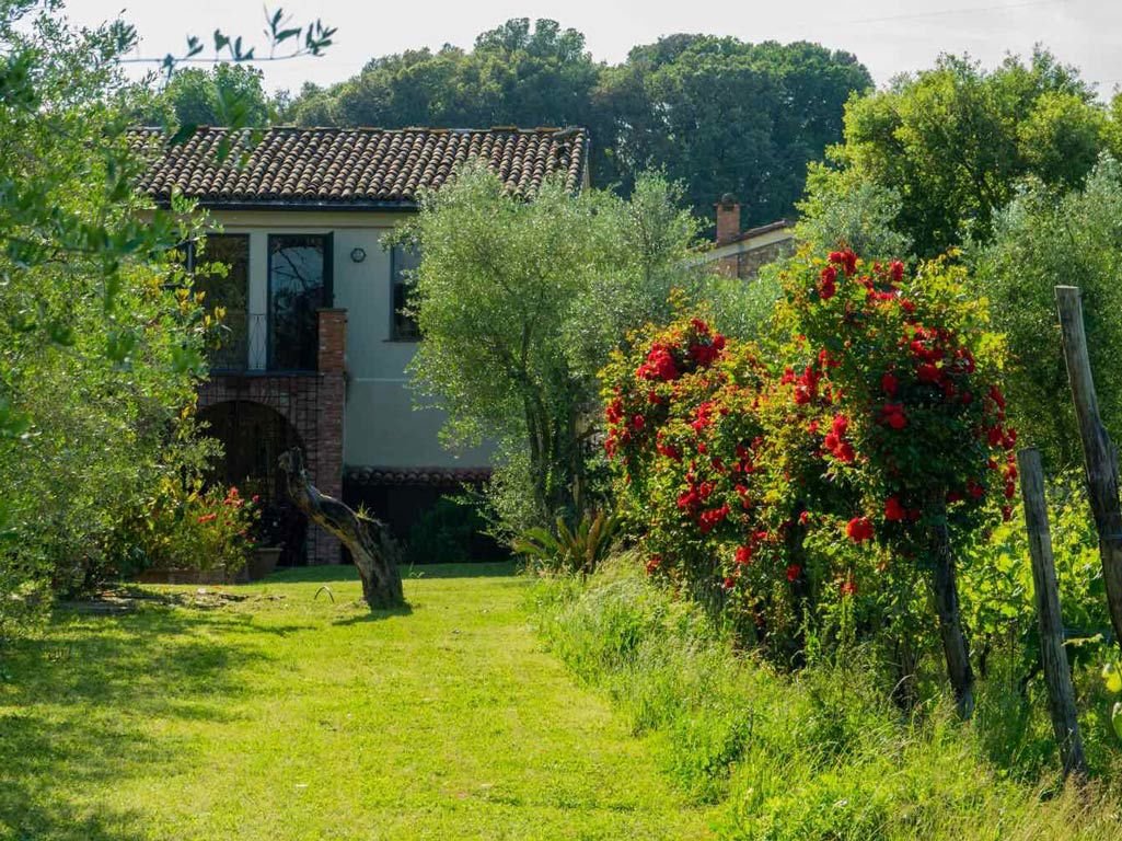 Tenuta La Ghiaia winery image 1