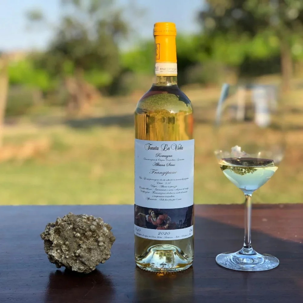 Essential Experience: Tour and Wine Tasting at Tenuta La Viola in Bertinoro, Romagna at Tenuta La Viola