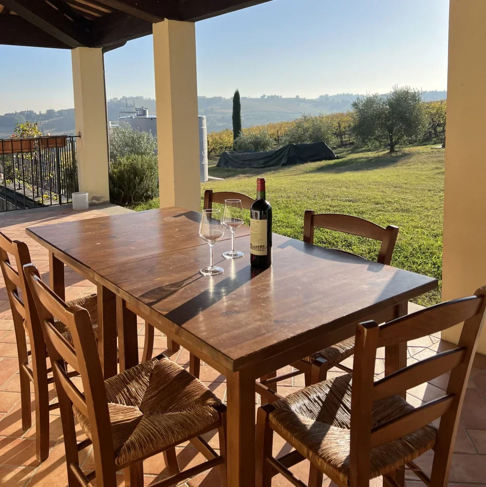 Ultimate Experience Plus: Tour and Wine Tasting at Tenuta La Viola in Bertinoro, Romagna at Tenuta La Viola