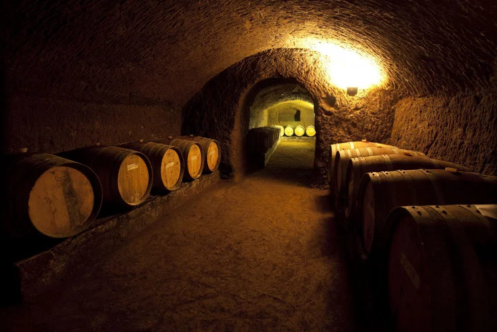 Emotions Tour & Wine Tasting at Tenuta Le Velette at Tenuta Le Velette