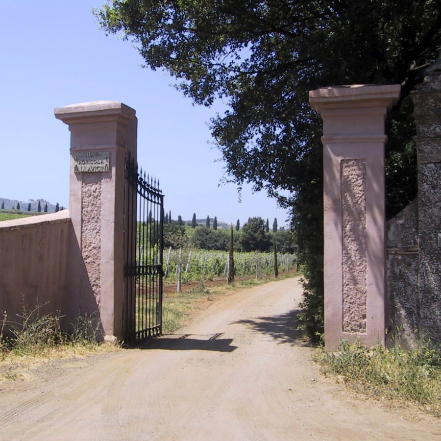 Tenuta Principe Pallavicini winery image 4