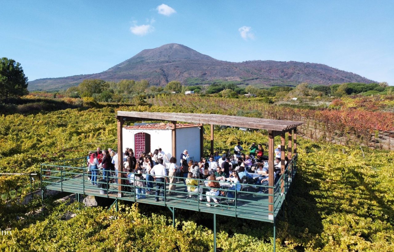 Classic Wine Tasting at Sorrentino