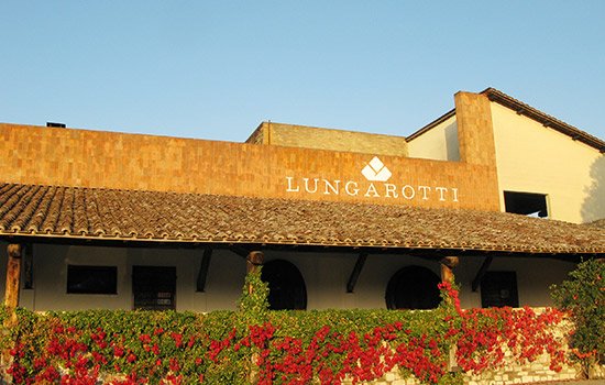 Lungarotti winery image 2