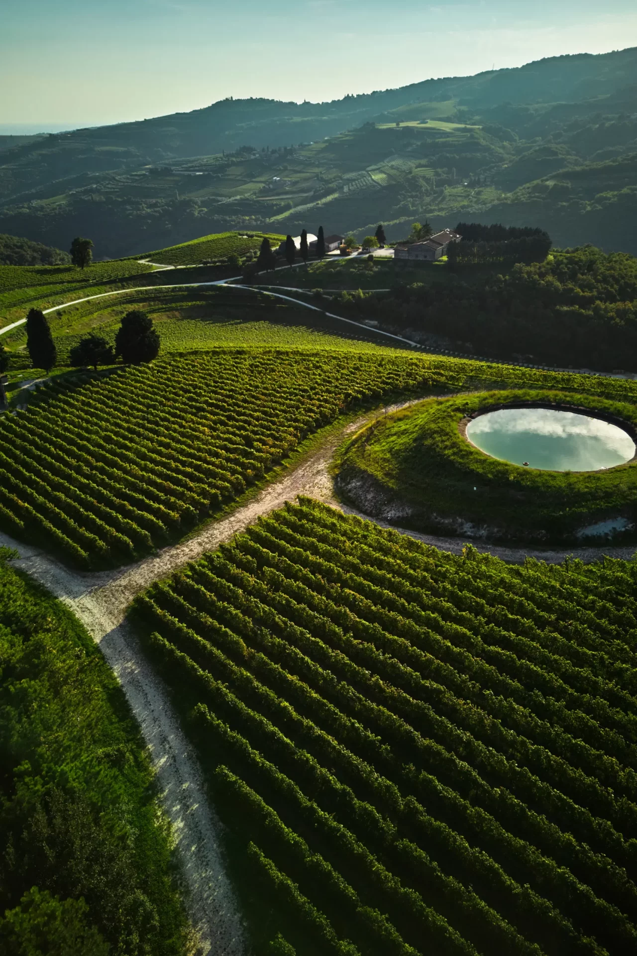 Tedeschi winery image 3