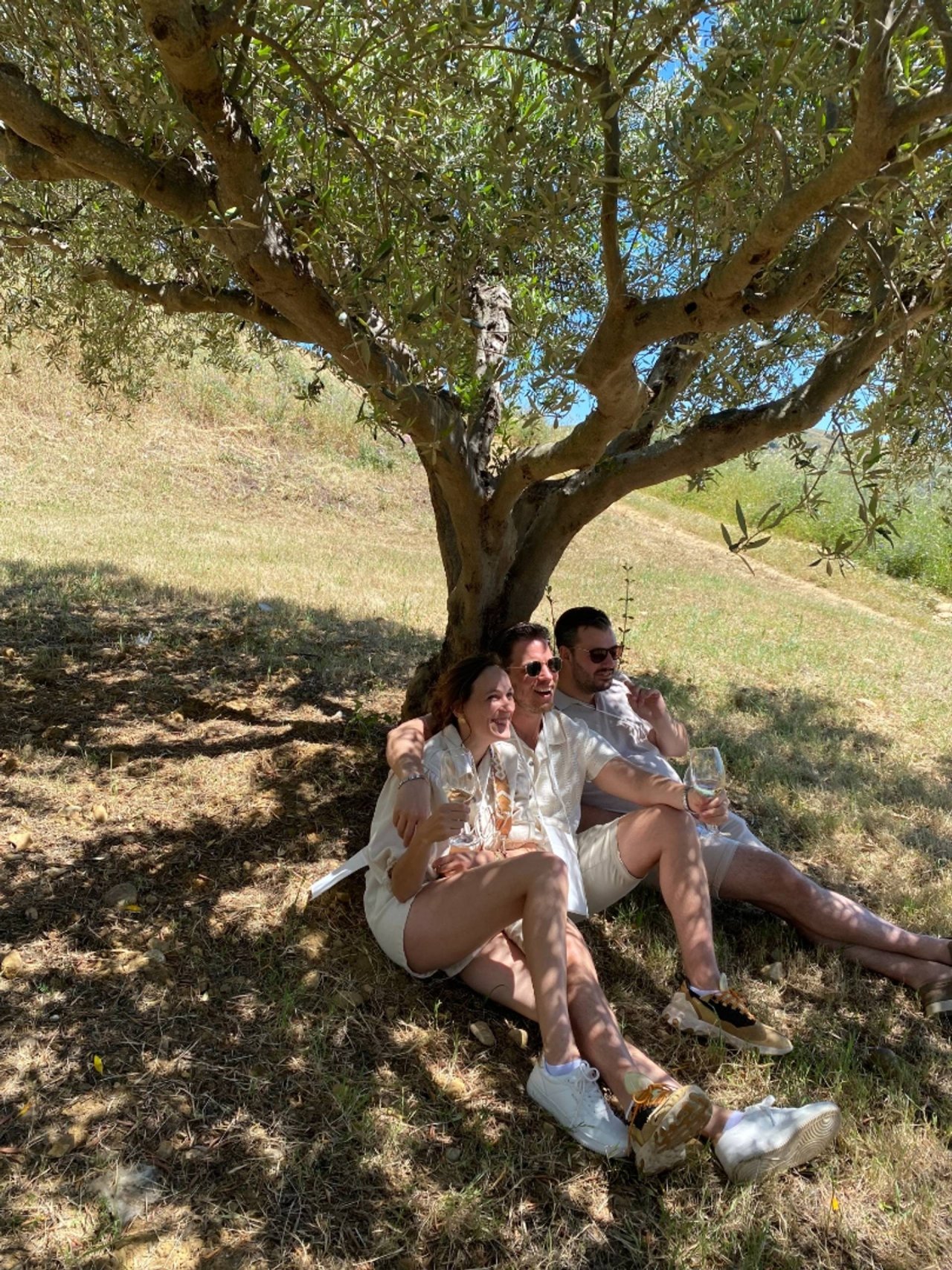 Walk in the olive grove at Tenute Baglio Passofondo Rural