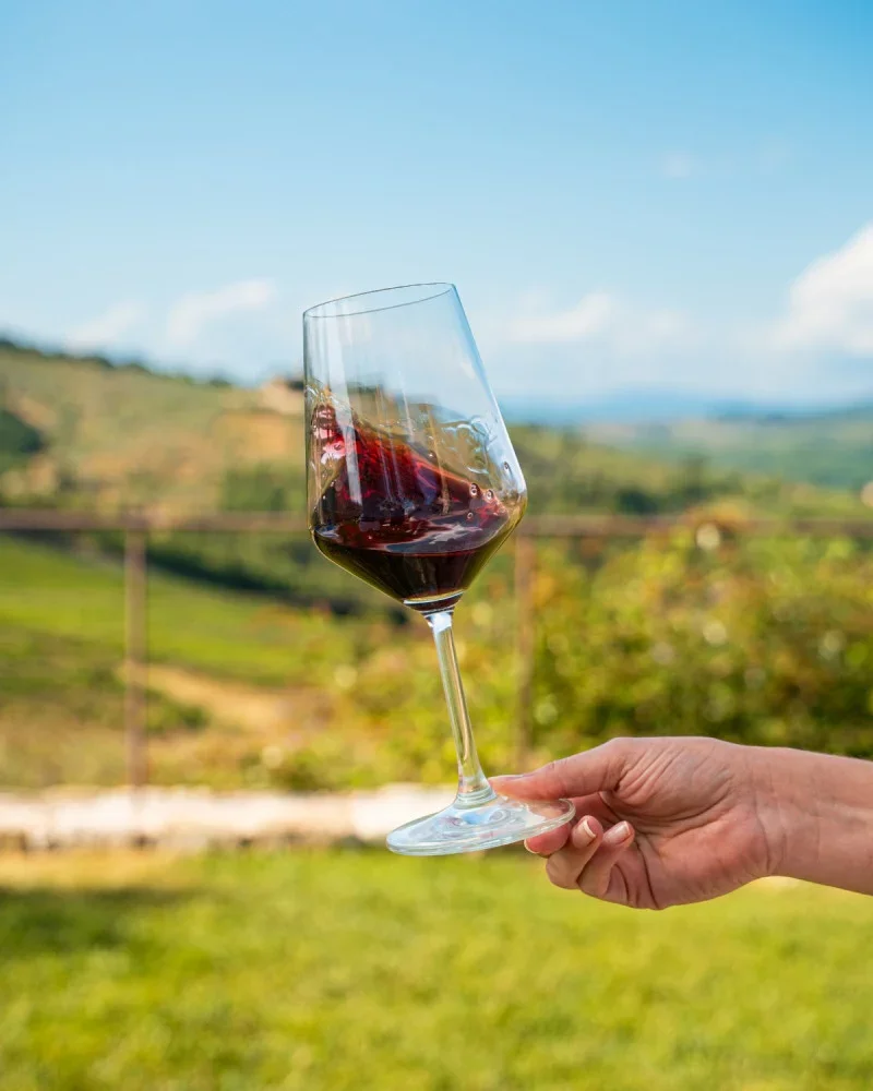 Chianti Classico Tasting & Historic Collection Tour at Tenuta di Nozzole in Greve at Tenute Folonari