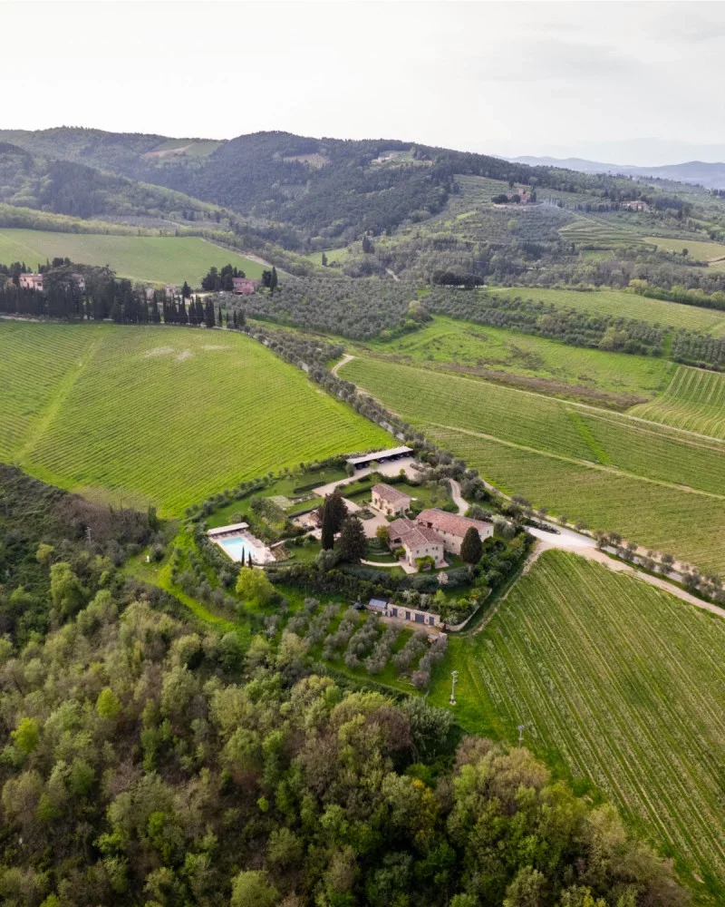 Sangiovese wine experience at Tenuta Folonari in Chianti Classico at Tenute Folonari