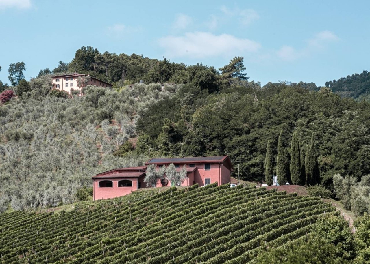 Tenute Silvio Nardi winery image 2