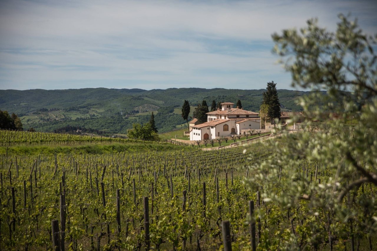 Tenute Silvio Nardi winery image 5