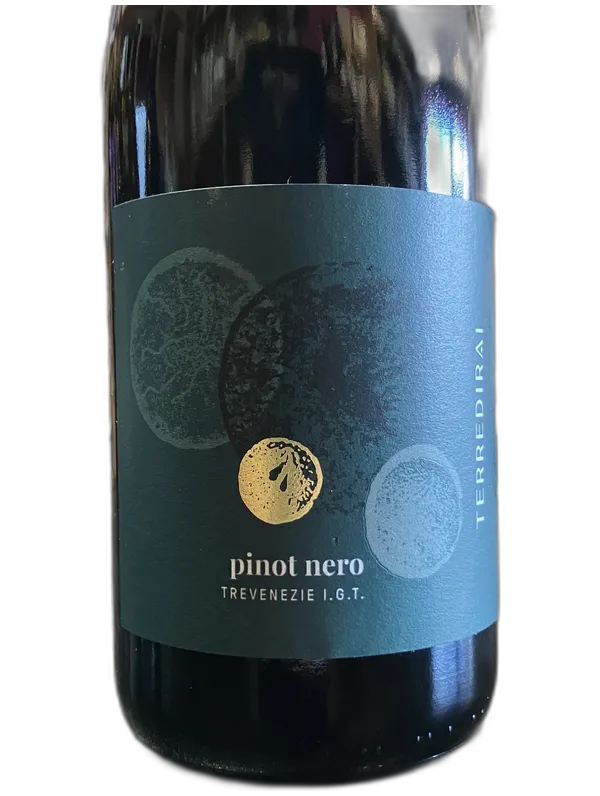 Terre di Rai Terre di Rai Pinot Nero Trevenezie IGT 2024