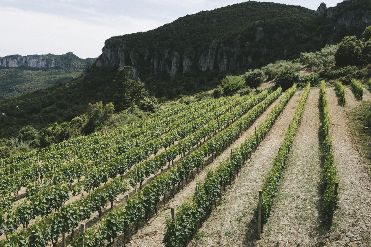Antichi Poderi di Jerzu winery image 3