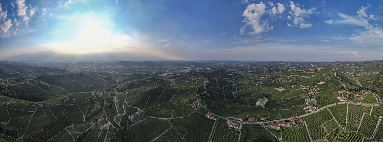 Cantina Vietti winery image 2