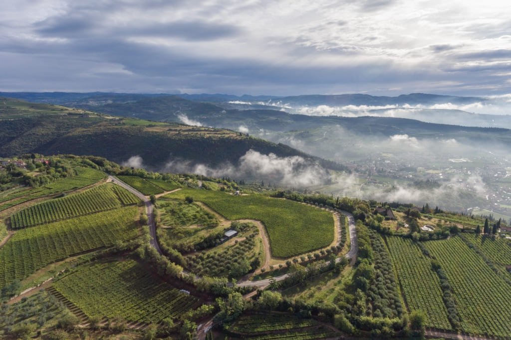 Allegrini winery image 2
