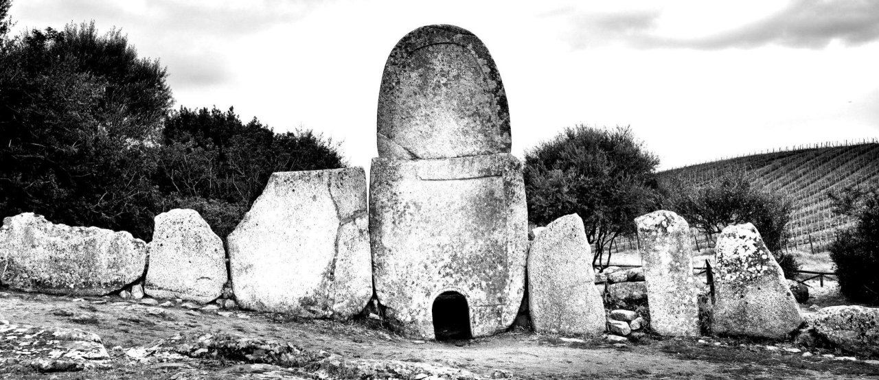 Capichera winery image 2