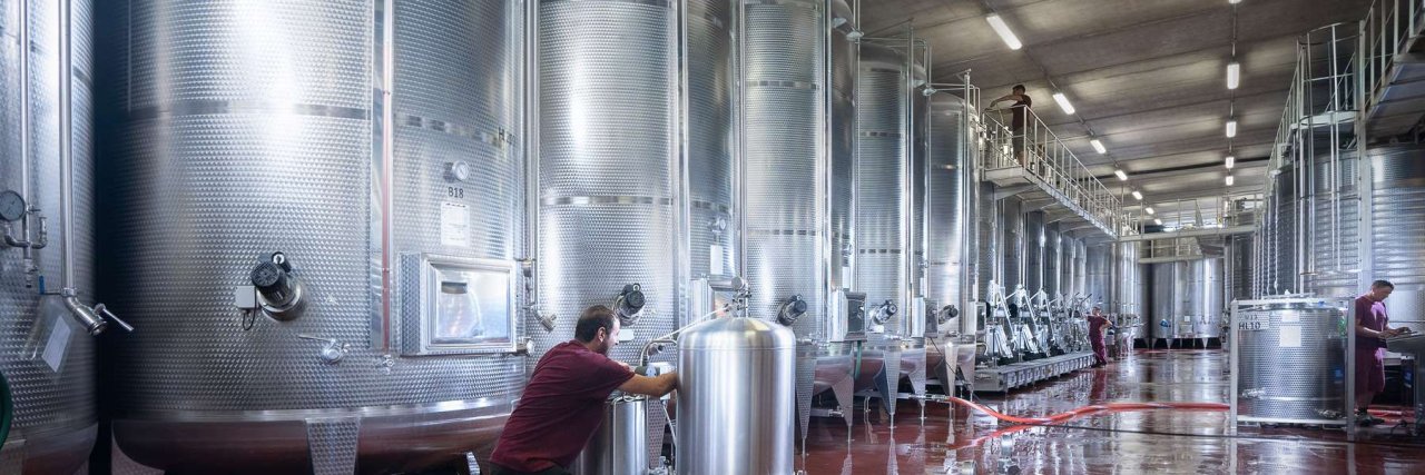 Guided tour and tasting at the Neviglie cellar at Roberto Sarotto