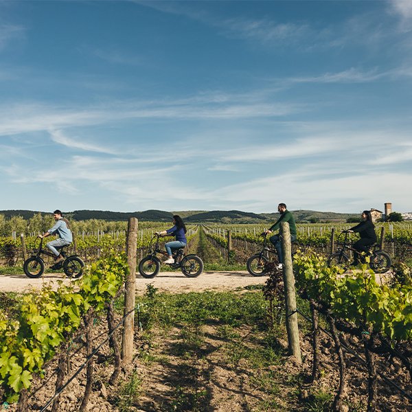 E-bike ride through the vineyards at Tormaresca