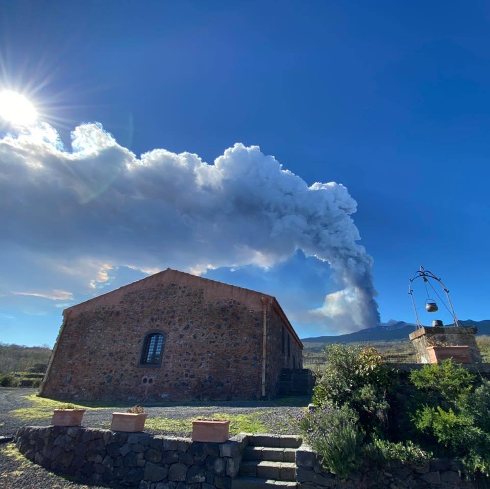 Torre Mora winery image 3