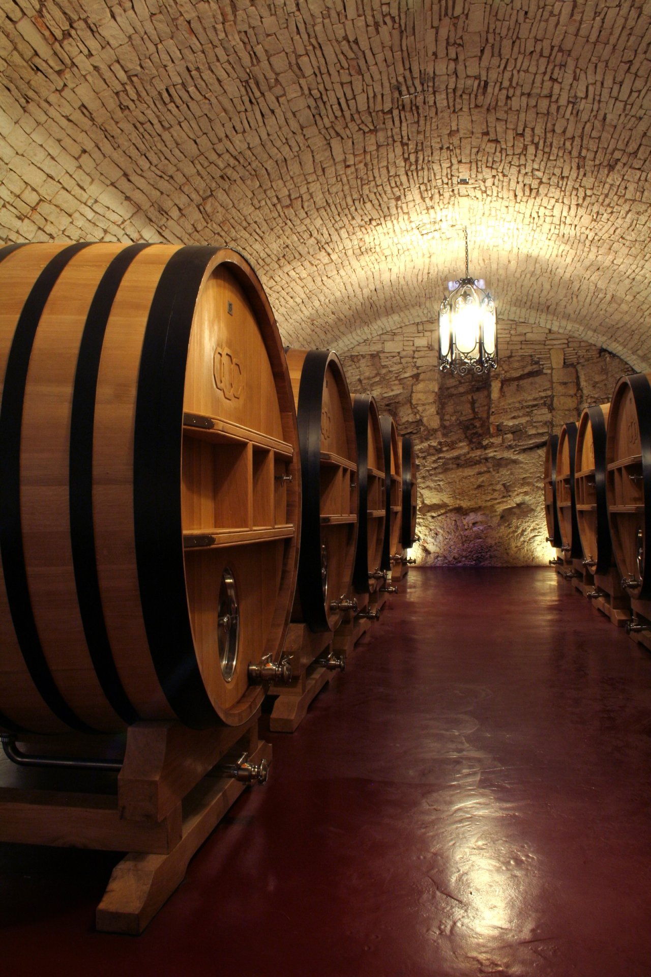 Vaulted cellar at Torrevento lined with large oak casks
