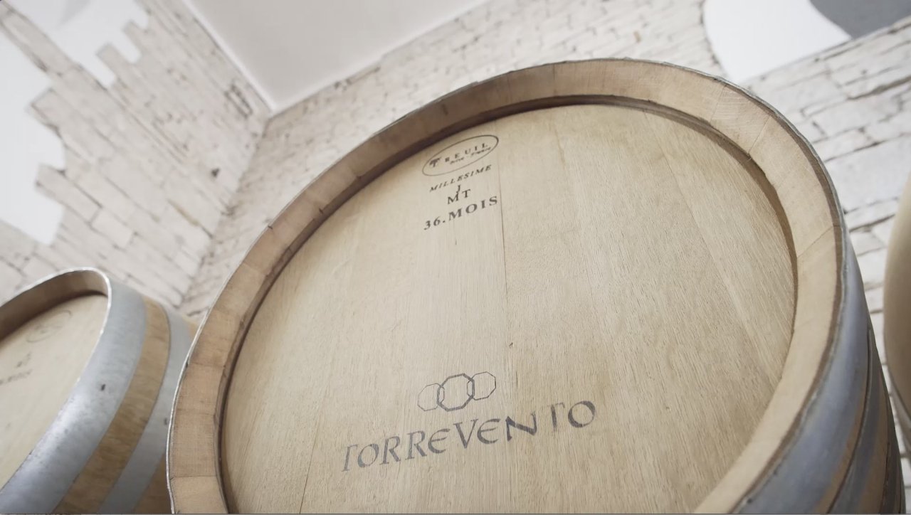Castel del Monte DOCG wines: cellar visit and tasting at Torrevento