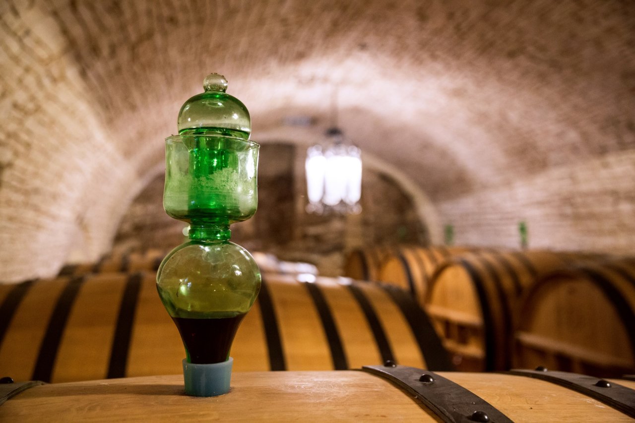 Castel del Monte classics: cellar visit and tasting at Torrevento