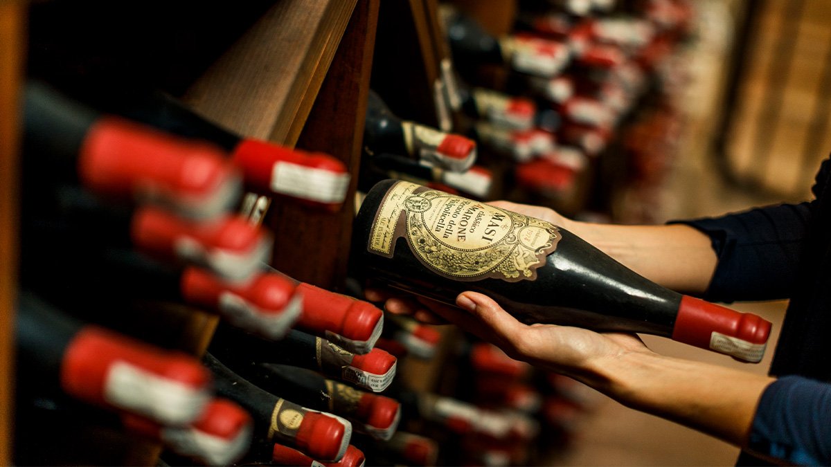 Mr. Amarone Experience at Azienda Agricola Masi