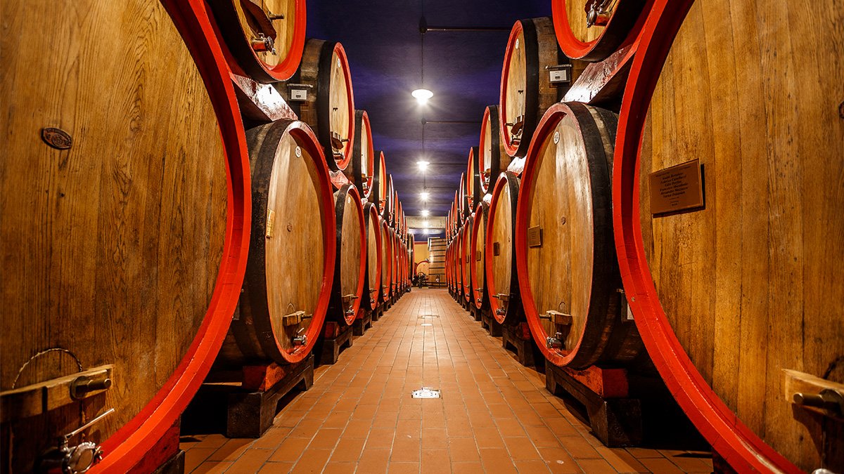 Trevenezie Experience at Azienda Agricola Masi