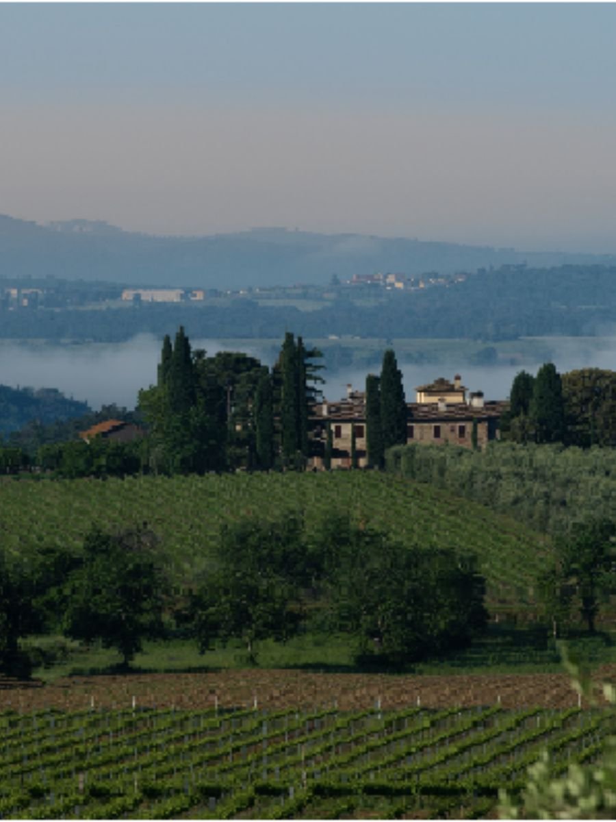 Walk the vineyards, then taste at Tenuta Sette Ponti