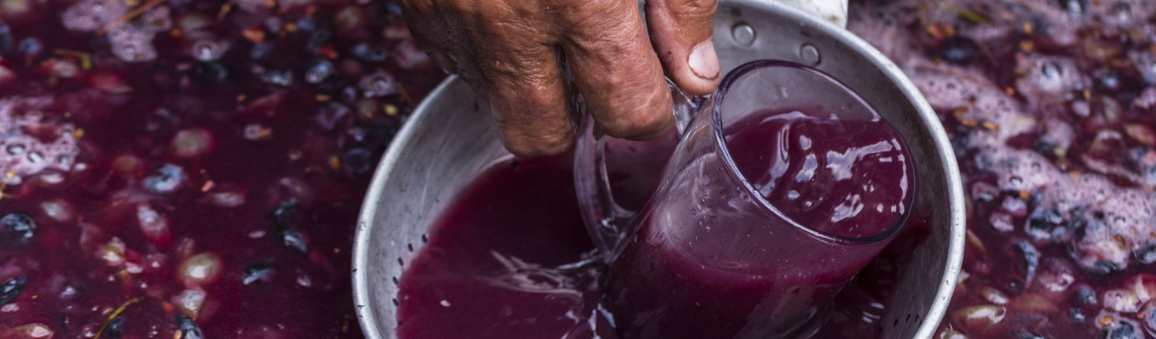 Estate visit and guided tasting at Azienda Agricola Tre Monti
