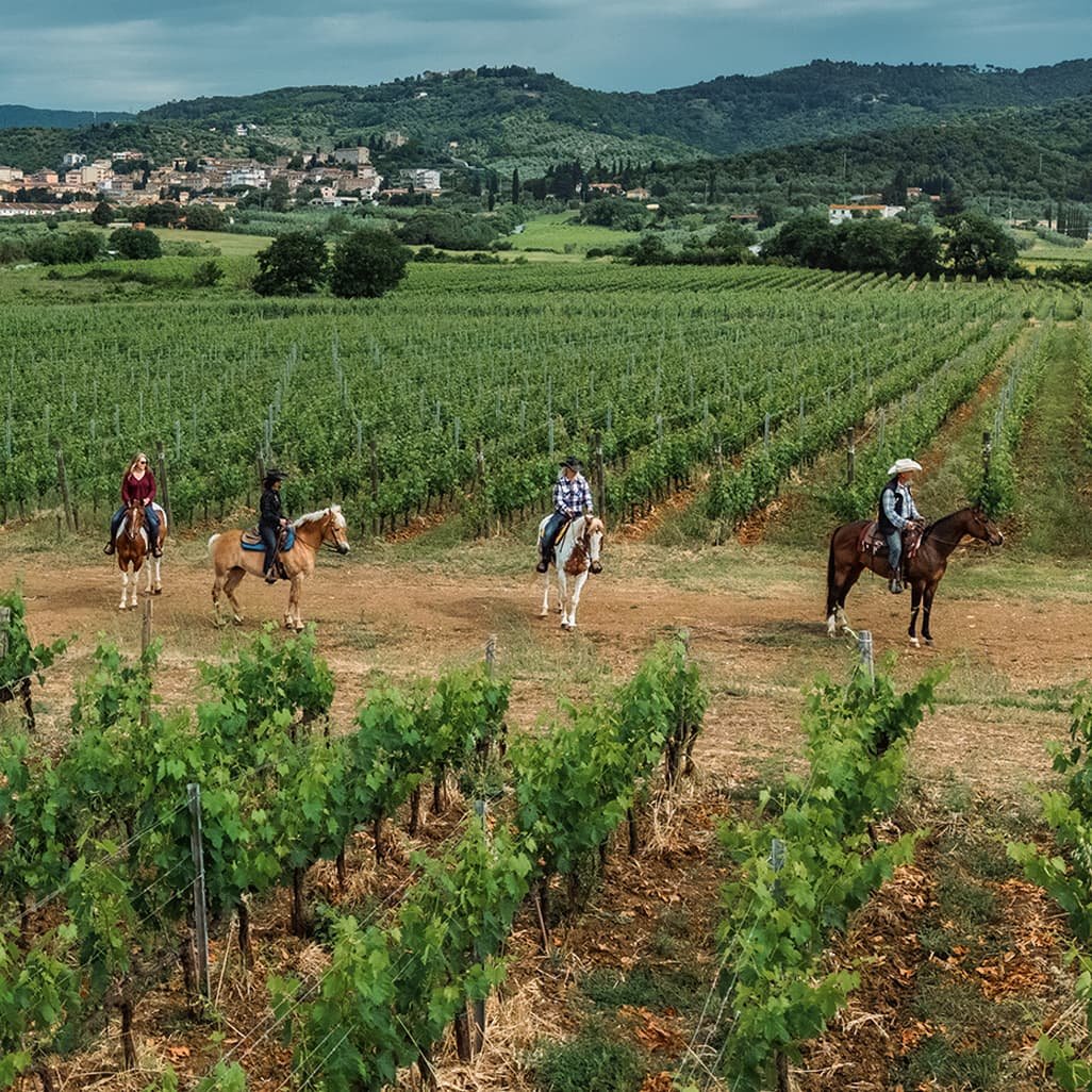 Ride and Taste: horseback ride and tasting at Azienda Agricola Tua Rita