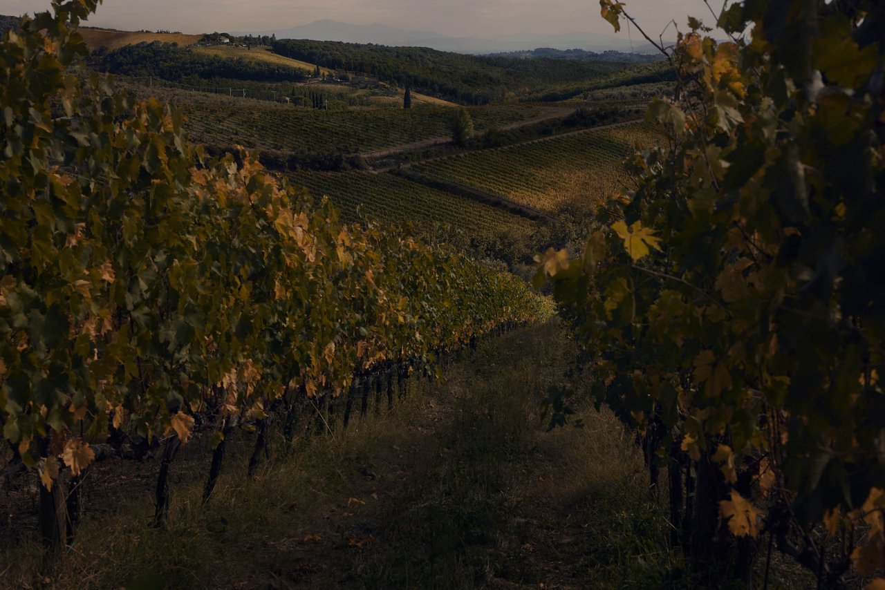 Winestillery winery image 1
