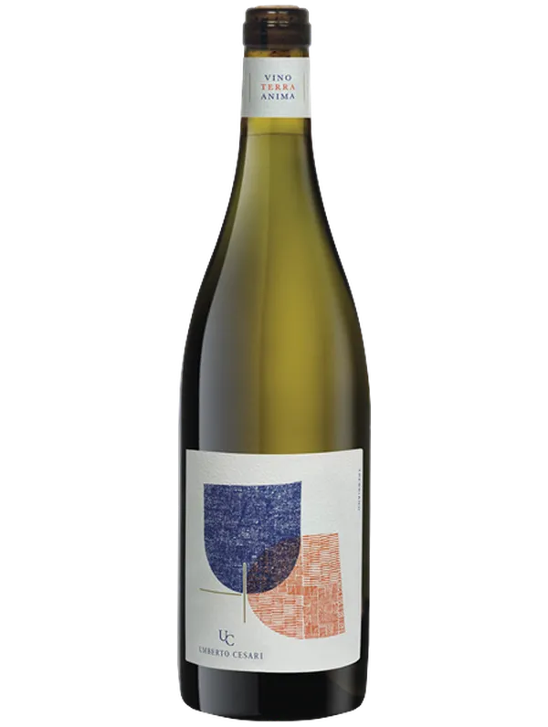 Umberto Cesari Umberto Cesari Amphora Trebbiano 2023