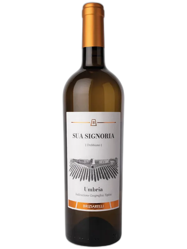 Briziarelli Umbria IGT Trebbiano Sua Signoria Briziarelli 2023