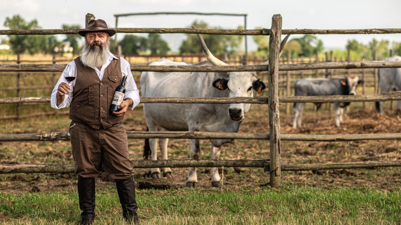 A buttero in hat and waistcoat holding a bottle beside a Maremmana cow at Rocca di Montemassi