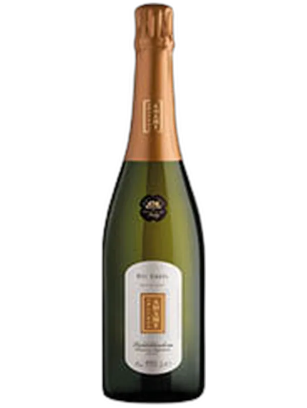 Adami Valdobbiadene Prosecco Superiore DOCG Extra Dry Dei Casel Adami