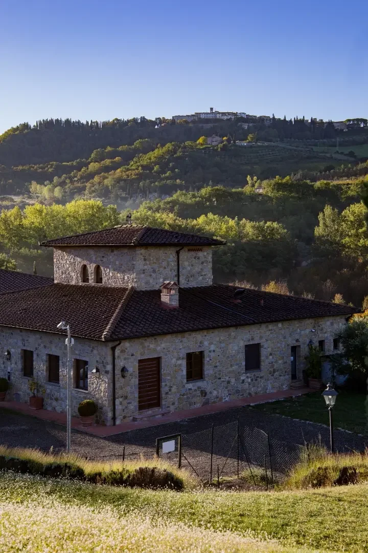 Hints of Tuscany: tasting of 3 wines at Castello di Radda