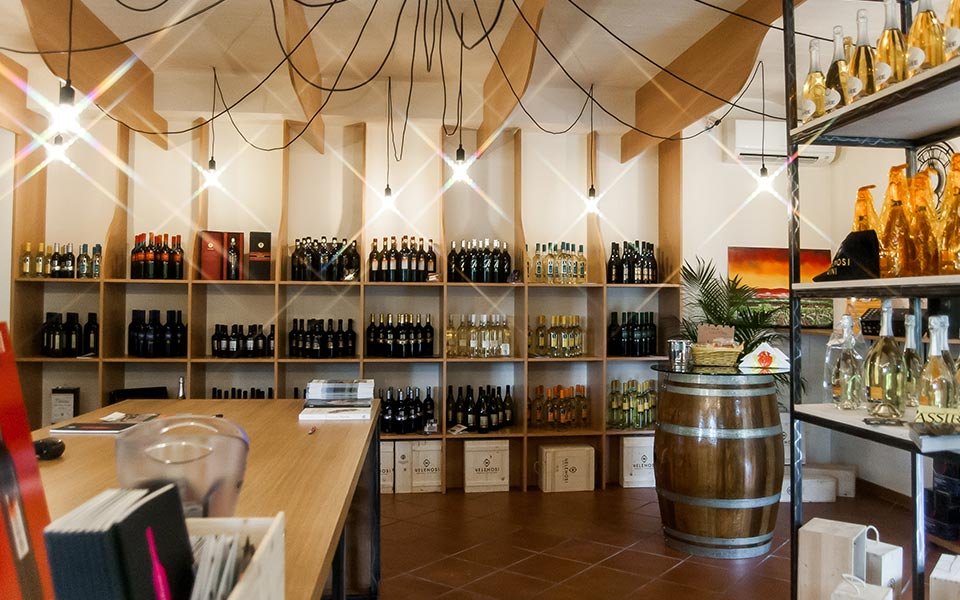 Azienda Vitivinicola Velenosi winery image 4