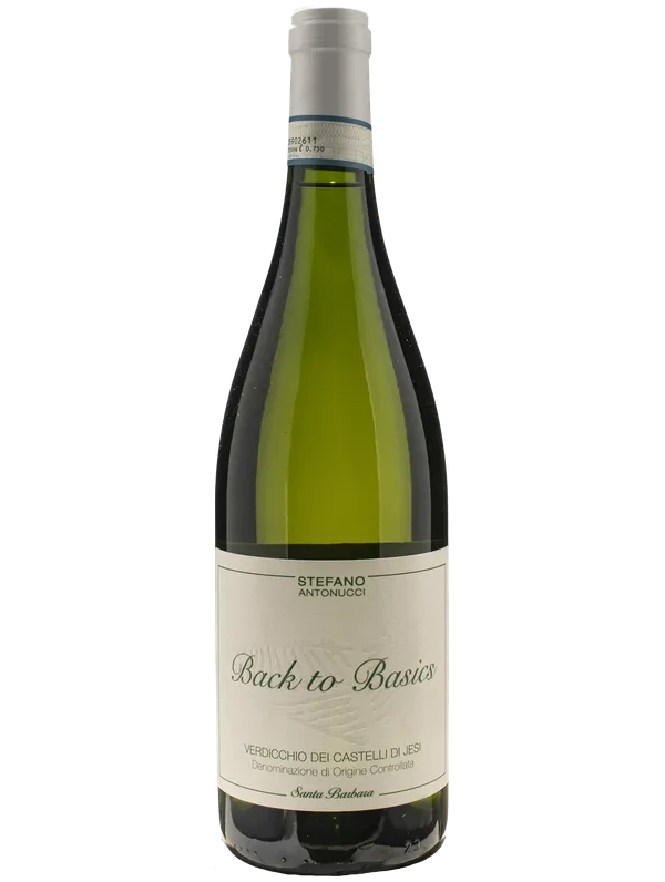 Santa Barbara Verdicchio dei Castelli di Jesi DOC Back to Basics Santa Barbara 2024