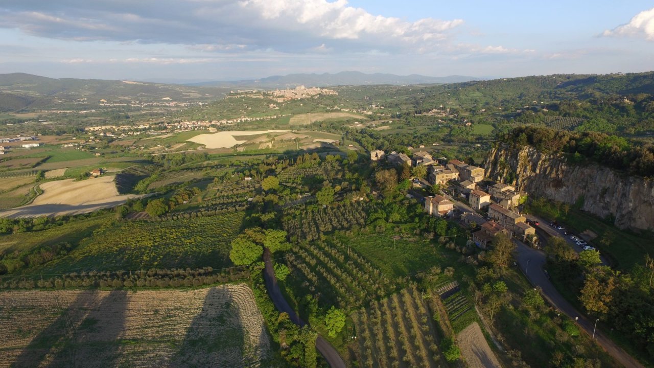 Aerial view of vineyards and olive groves below the cliff-top hamlet of Rocca Ripesena, near Palazzone