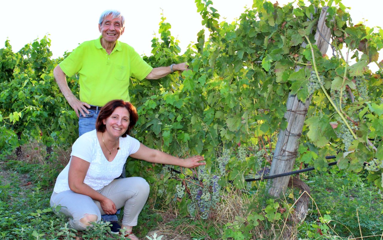 Vigne Mastrodomenico winery image 4