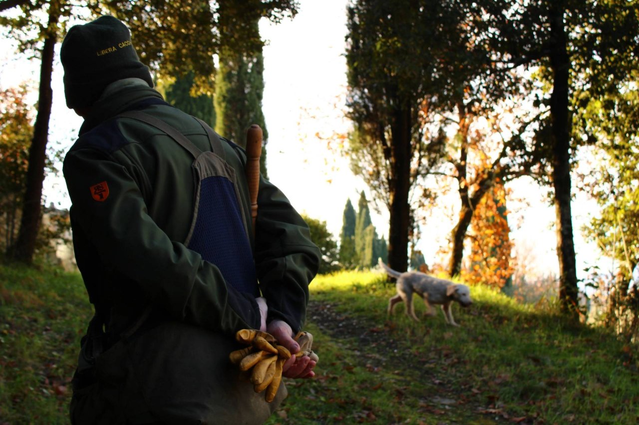 Truffle Hunting with Tasting and Lunch at Villa La Ripa