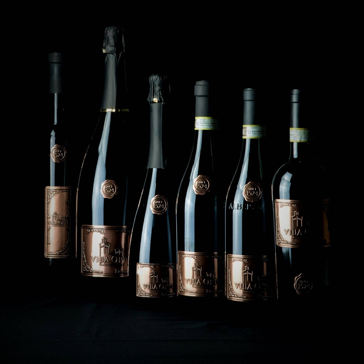 Luxury tasting at Villa Oppi