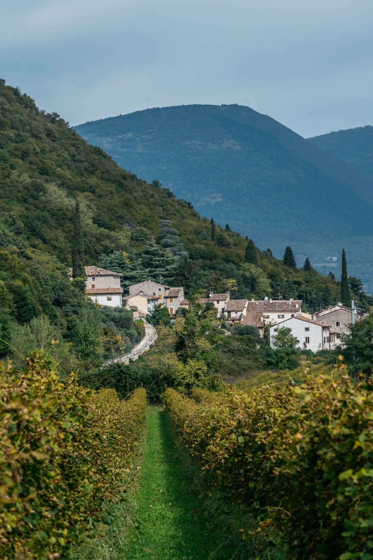 Bike & Wine ride and tasting at Le Fraghe