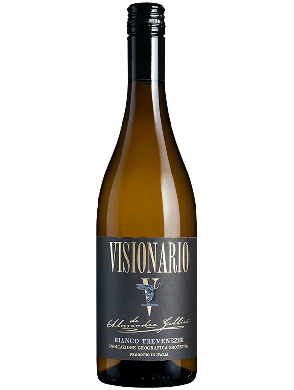 Visionario 2024