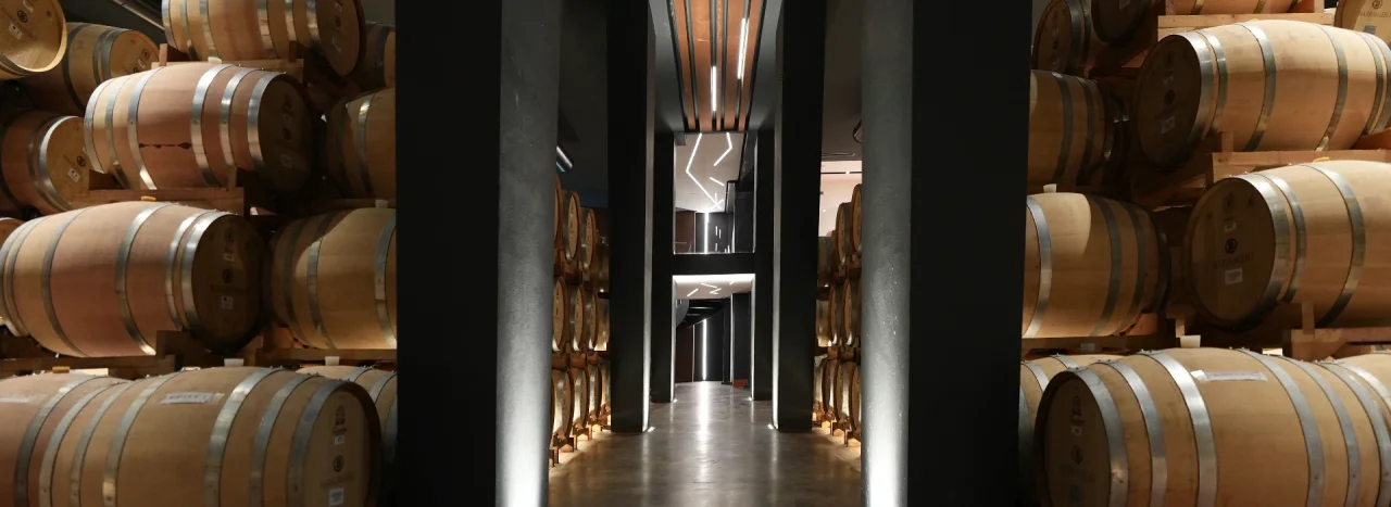 Impresso nel Vino tasting at Azienda Agricola Marramiero