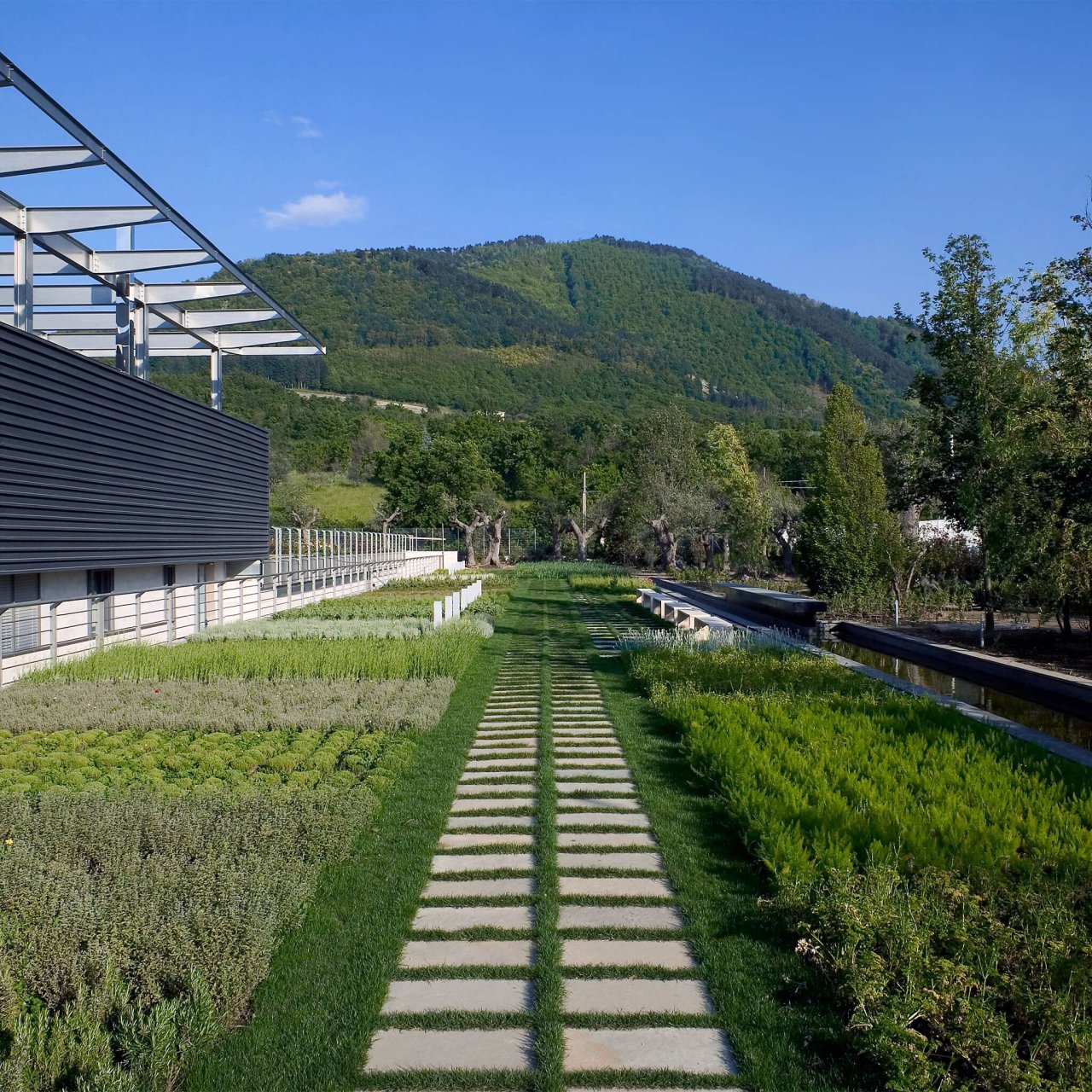 Winery tour and guided tasting at Aziende Agricole Feudi di San Gregorio