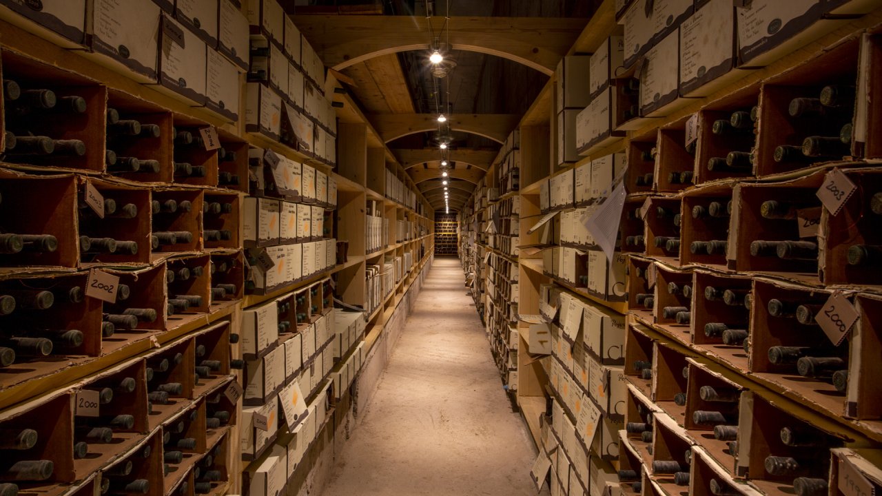 Zampognaro guided cellar visit and tasting at Pojer & Sandri