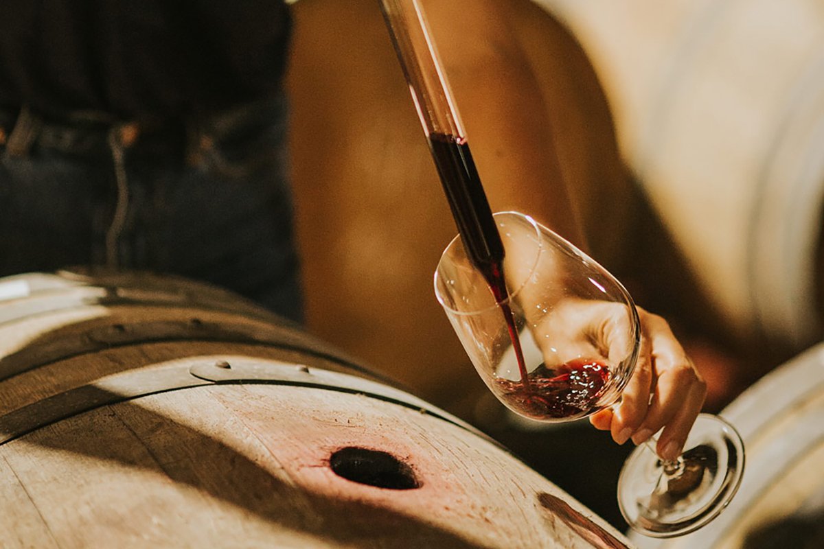 Classic tasting at Caccia al Piano 1868