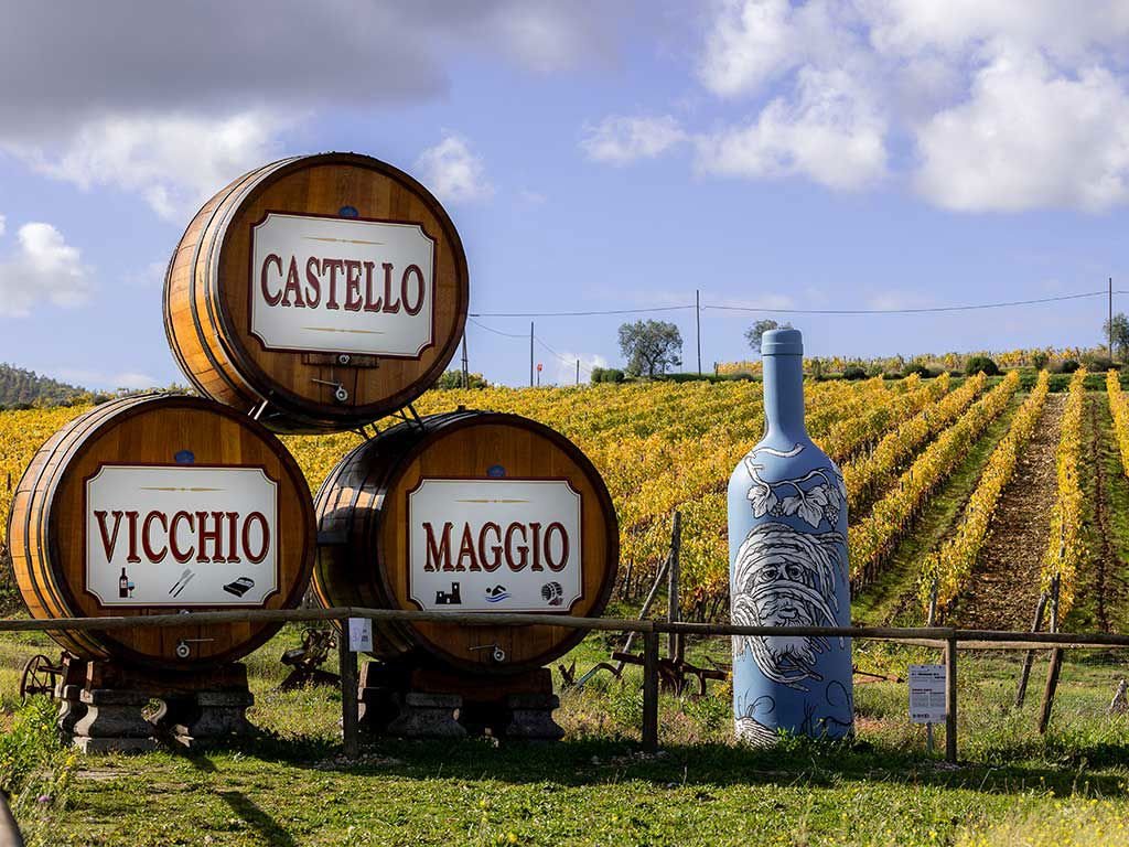 Castello Vicchiomaggio winery image 4