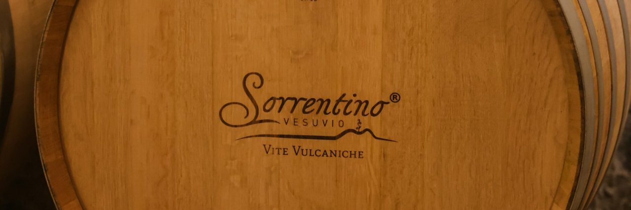 Wine Tour and Cellar Visit at Sorrentino