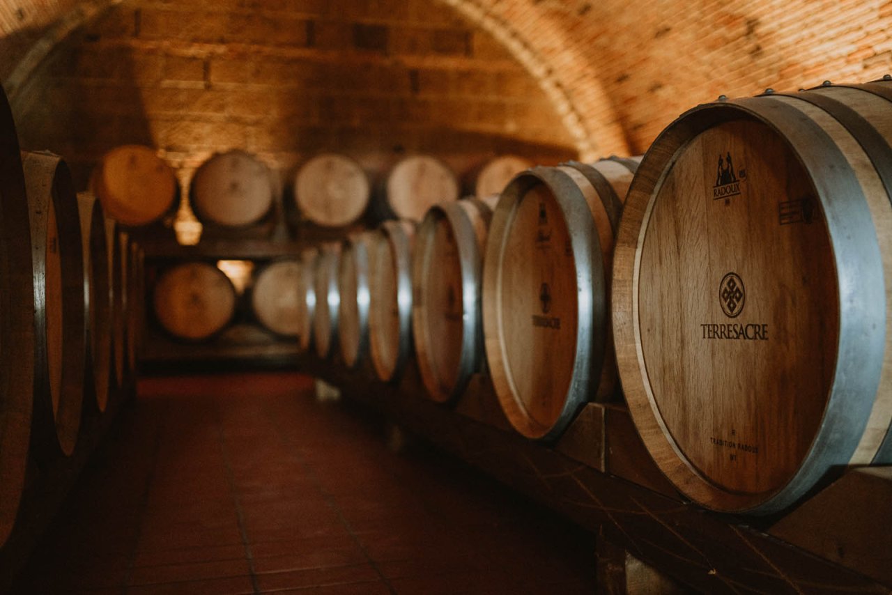 Cellar visit and estate tasting at Terresacre
